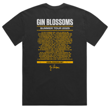 Load image into Gallery viewer, Summer Tour 2025 Black Tee