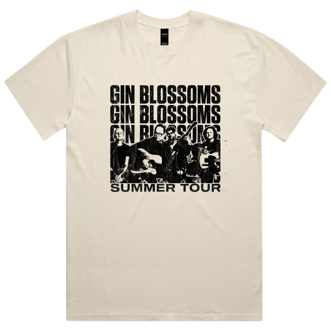 Summer Tour 2025 Tee